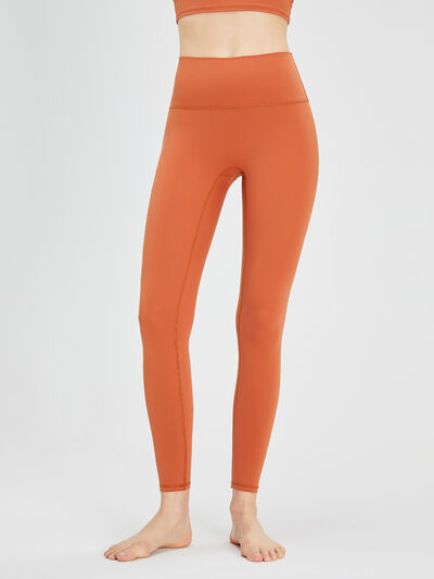 High Waist Active Pants